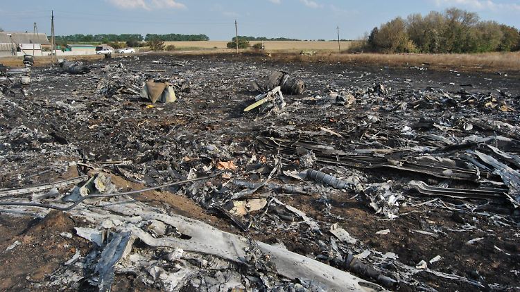 Alle 298 Passagiere und Besatzungsmitglieder des Flugs MH17 starben.