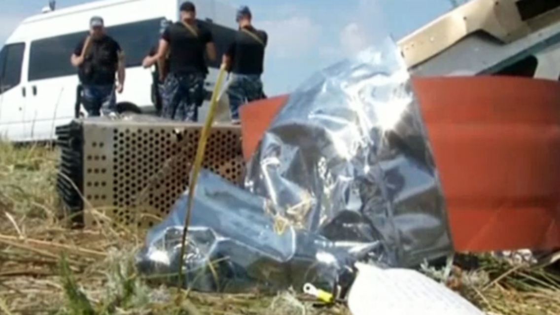 MH17.jpg