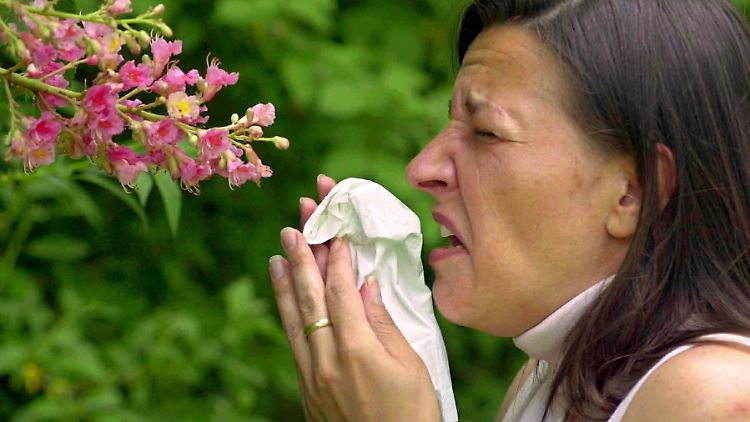 Allergien haben vor allem in den Industriestaaten enorm zugenommen. Forscher rätseln schon lange über die Gründe.