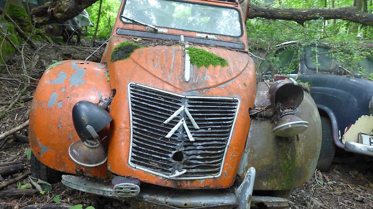 Auch der Citroen 11 CV, der Jahrzehnte einem französischen Polizeichef gehörte, findet sich tief im Gestrüpp.