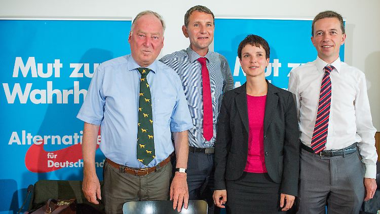 Auf zu neuen Ländern (v.l.): Alexander Gauland, Björn Höcke, Frauke Petry und Bernd Lucke.
