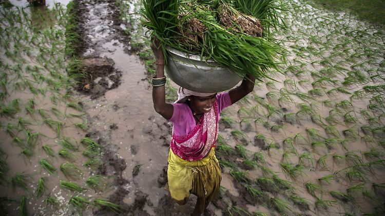 Die indische Regierung pochte bis zuletzt auf Subventionierung von Grundnahrungsmittel für Millionen von Armen.