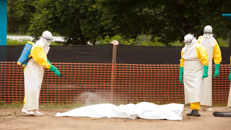 Mehr als 700 Menschen sind seit dem Ebola-Ausbruch in Westafrika dem Virus zum Opfer gefallen.