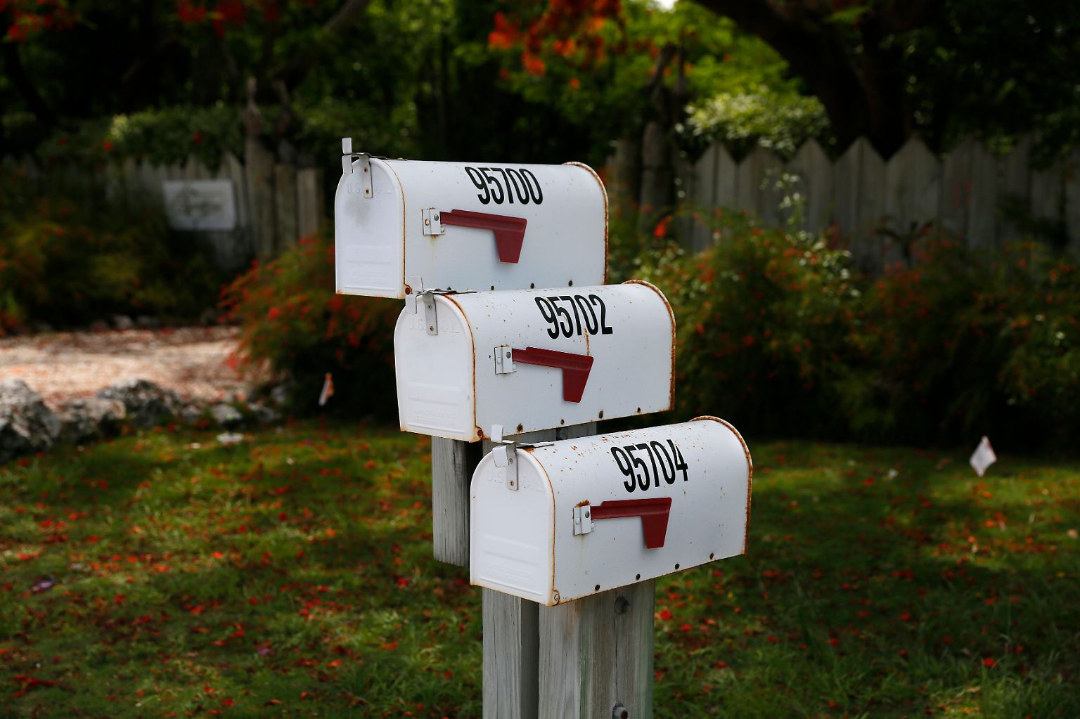 Ein normaler Briefkasten? Bäh, how boring, haben sich offenbar viele Bewohner der Florida Keys gedacht ...