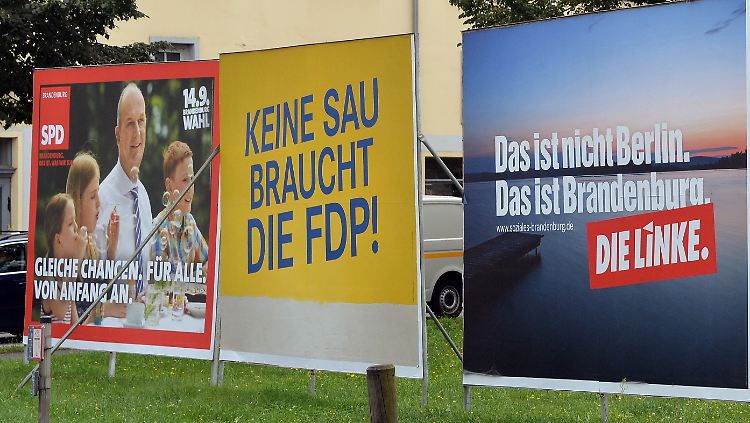 Im Landtagswahlkampf in Brandenburg versucht die FDP es mit Ironie.