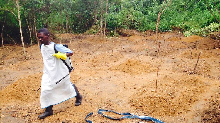Ein Helfer steht auf einem Friedhof in Kailahun in Sierra Leone, im Dreiländereck mit Guinea und Liberia. Das Bild stammt von Mitte Juli.