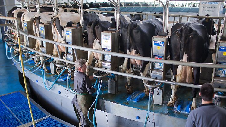 Für Fleisch und Milchprodukte ist Russland ein wichtiger Markt für deutsche Landwirte.