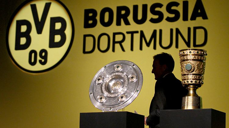 Hans-Joachim Watzke arbeitete ab 2001 als Schatzmeister beim BVB, seit 2005 ist er Geschäftsführer.