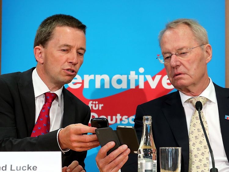 "Wenn wir nicht bis zum Jahresende ...": Die Vorstandsmitglieder Bernd Lucke und Hans-Olaf Henkel (Archivbild).