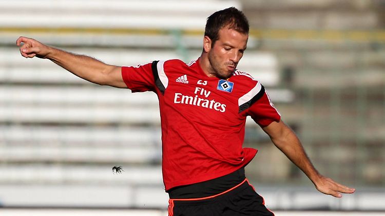 "Hier sollte dringend angesetzt werden": Rafael van der Vaart.