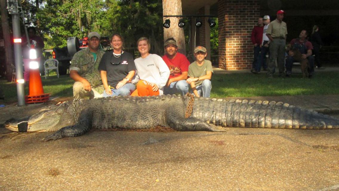 2014-08-18T194615Z_2138851397_TM3EA8I17AA01_RTRMADP_3_USA-ALABAMA-ALLIGATOR.JPG6682352389282717888.jpg