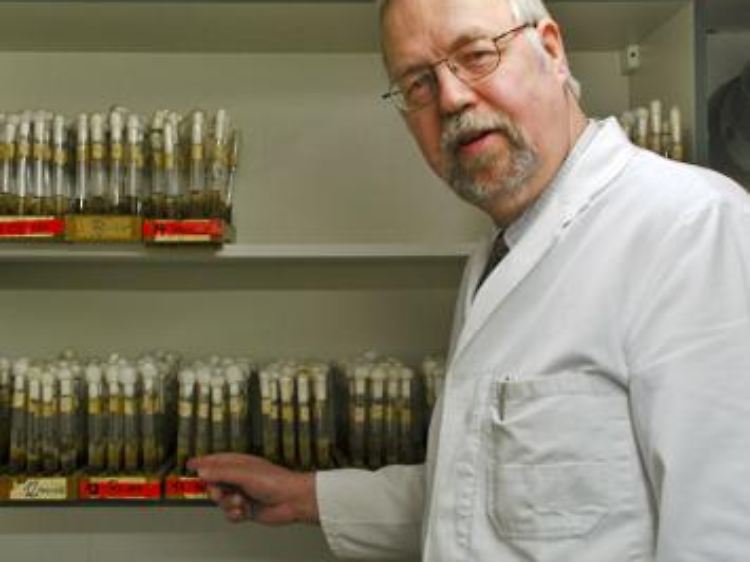 Prof. Dr. Frieder Schauer leitet die Abteilung für Angewandte Mikrobiologie am Institut für Mikrobiologie der Ernst-Moritz-Arndt-Universität Greifswald. Das Institut beherbergt eine Sammlung von 6500 technisch nutzbaren Mikroorganismen-Stämmen. Darunter sind rund 1500 Stämme, die Öl abbauen.