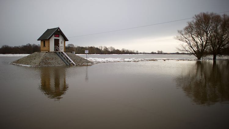 Überschwemmung: Das Pegelhaus im brandenburgischen Ratzdorf zeigte im Februar 2012 einen Wasserstand der Oder von 5 Metern an.