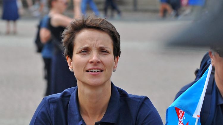 Frauke Petry ist AfD-Vizechefin und Vorsitzende der sächsischen AfD.