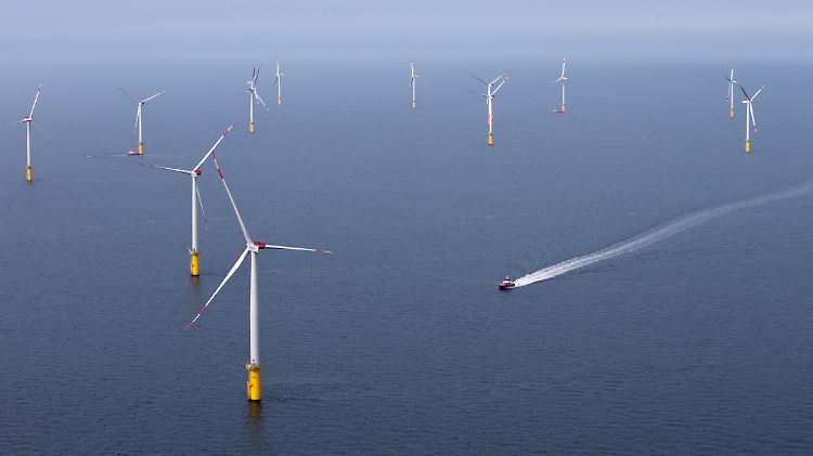 Weit draußen im Meer, wie hier der Windpark Meerwind vor Helgoland, sind Windkraftanlagen effizient.