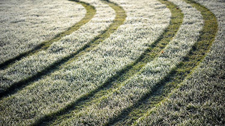 In Quickborn in Schleswig-Holstein zeigte das Thermometer 1 Grad minus - beste Voraussetzung für Raureif. 
