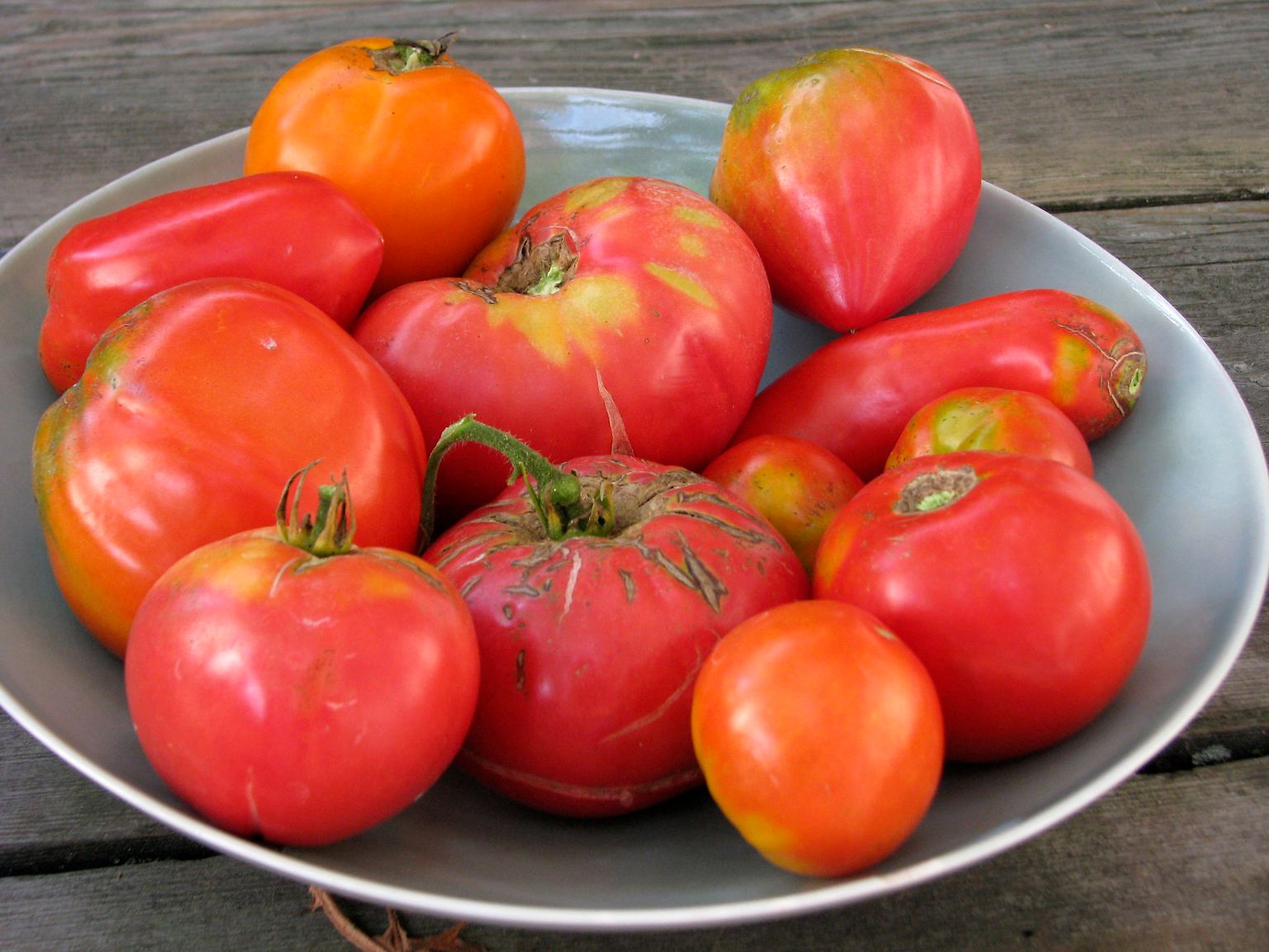 45.000 Spanier und Touristen lieferten sich die größte Tomatenschlacht der Welt und tauchten die Kleinstadt Buñol mal wieder in eine rote Brühe. 