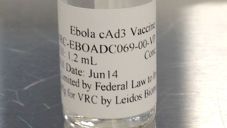 Ein Ebola-Impfstoff-Kandidat.