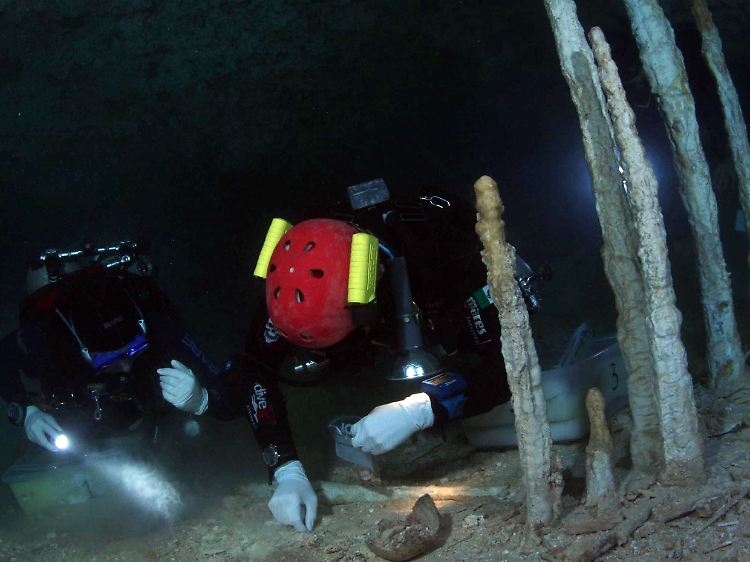 Die Skelett-Teile fanden sich auf dem Grund einer mit Wasser vollgelaufenen Höhle.