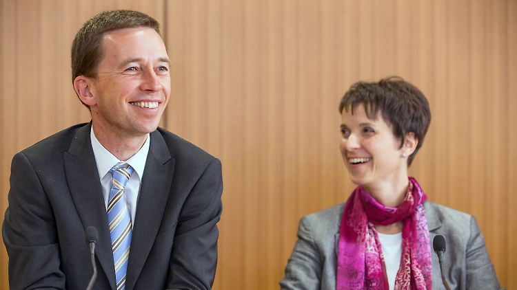 Herrscht bald wieder Eintracht? Lucke und Petry im Jahr 2013.