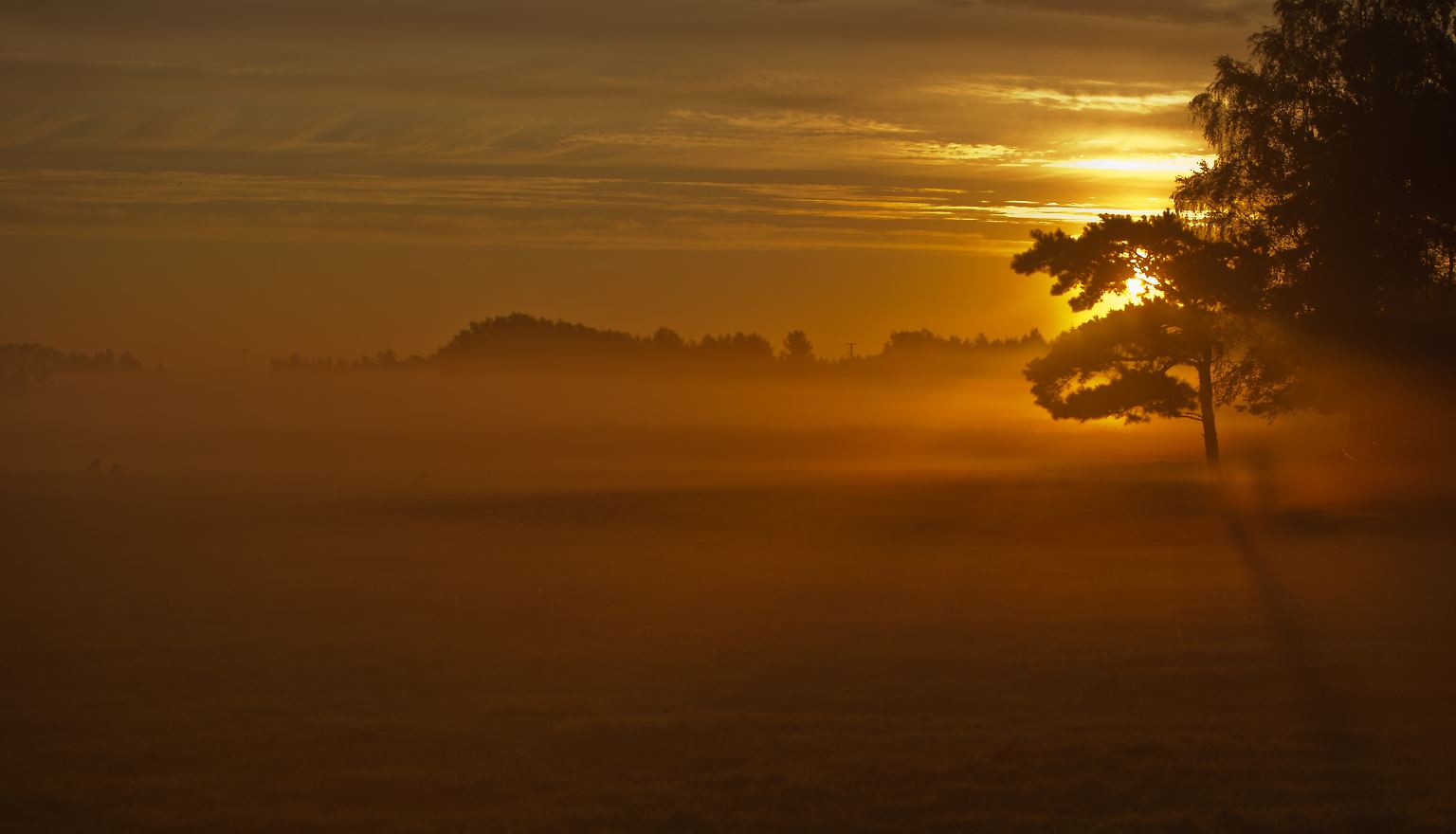 Nebel hat viele Gesichter: er legt einen zarten Schleier über Landschaften und erzeugt so eine romantische Stimmung, ...