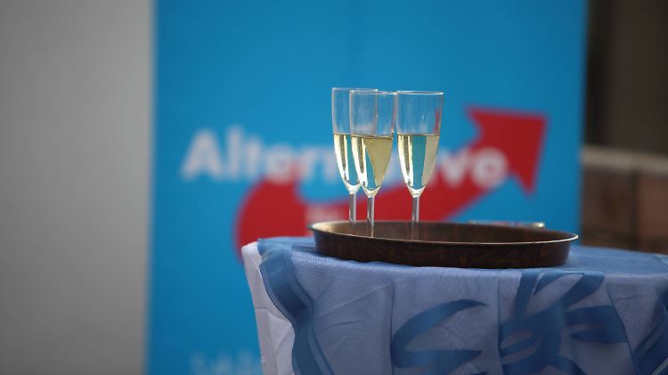 Die AfD holte in Sachsen fast 10 Prozent der abgegebenen Stimmen.
