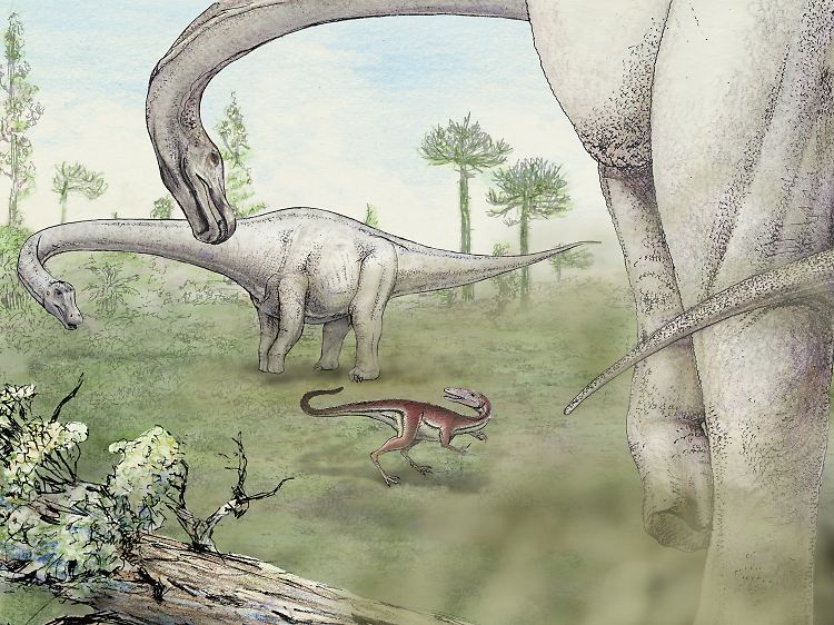 Grafik von Dreadnoughtus schrani: ein Riese unter den Sauriern.