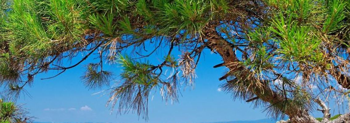 Sonnenuntergang am Karidi Beach: Zum Ende der Saison haben Urlauber den Strand für sich. Foto: Tobias Schormann