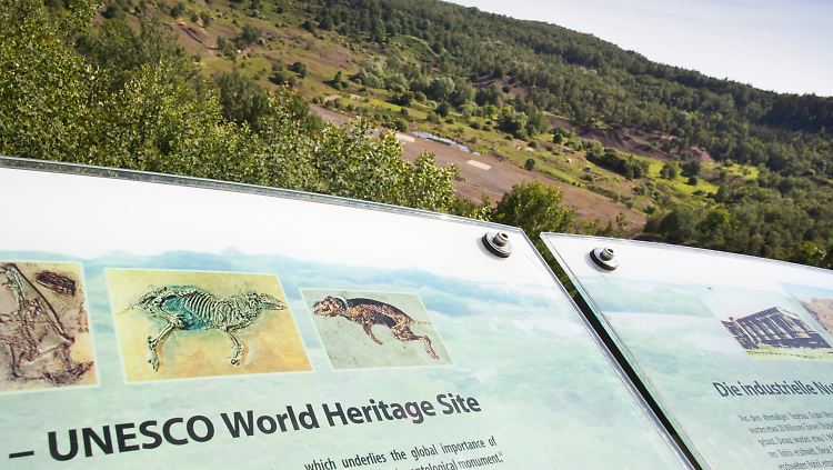 Blick in die Grube Messel: 1995 wurde die Fossillagerstätte im Ölschiefer der Grube in die Welterbeliste der UNESCO aufgenommen.