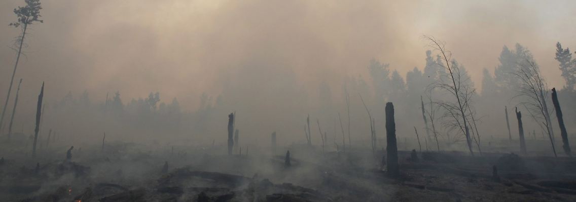 feuer.jpg