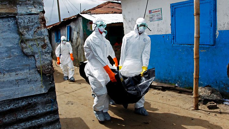 Bereits 2400 Menschen sind dem Ebola-Virus zum Opfer gefallen.