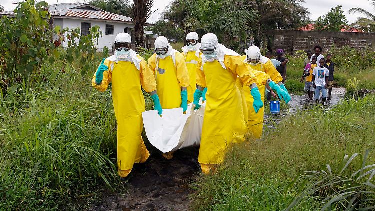 Abtransport eines mutmaßlichen Ebola-Toten: Die Kapazitäten der Helfer reichen bei Weitem nicht aus, um die Epidemie einzudämmen.
