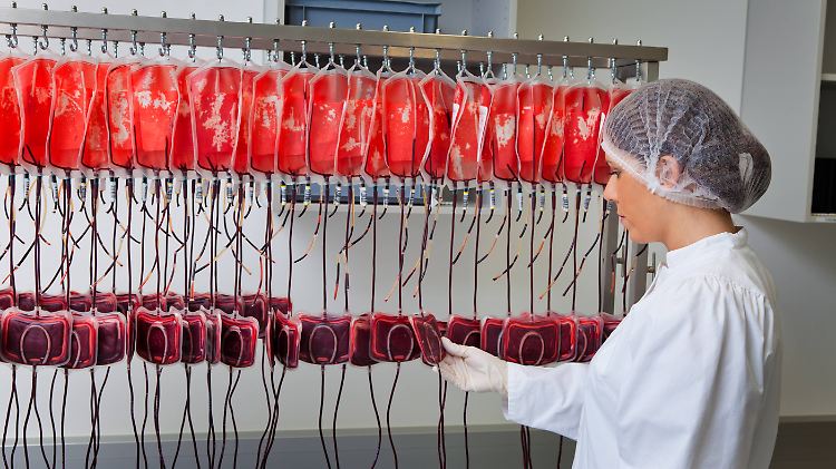 Eine Lösung in Sicht? Die Behandlung mit dem Blut Genesener könnte im Kampf gegen Ebola helfen.