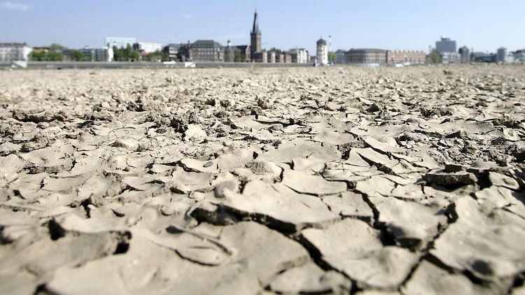 April 2007: Am trockenen Rheinufer bei Düsseldorf platzt die Erde auf.