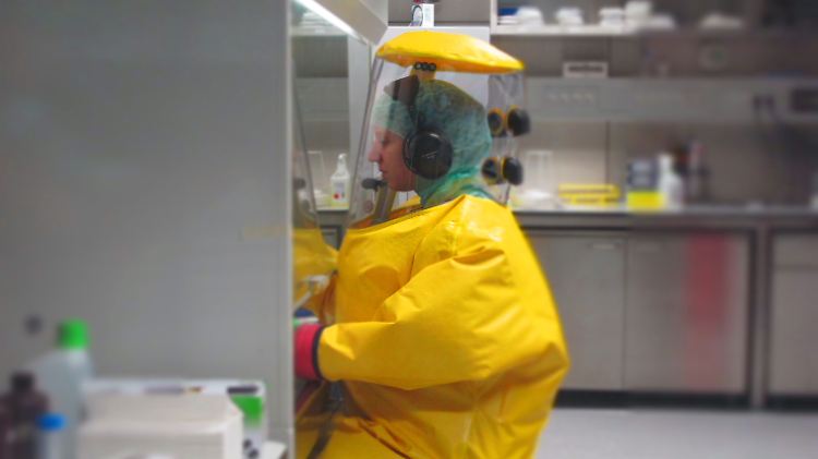 In der Ebolaforschung sind höchste biologische Schutzmaßnahmen erforderlich.