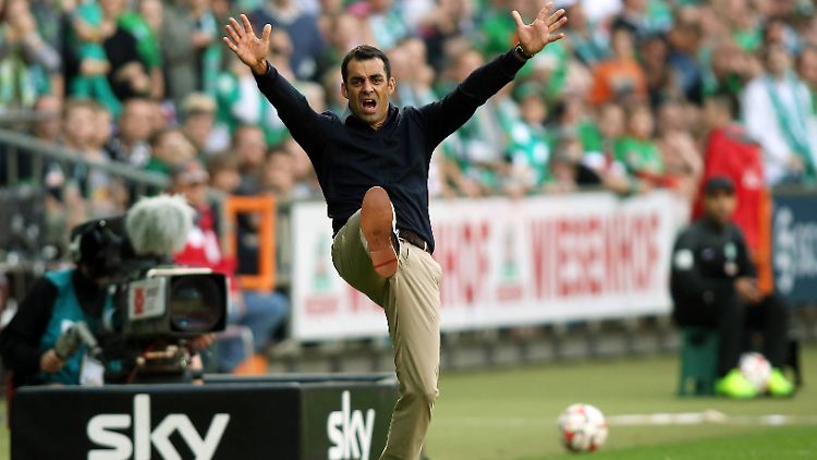 Schiedsrichter, Elfmeter! Fünfmal forderten die Bremer und ihr Trainer Robin Dutt einen Strafstoß.