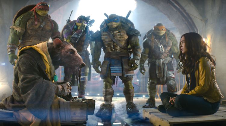 Die Turtles und ihr Meister Splinter halten Kriegsrat mit April O'Neil.
