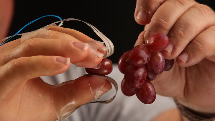Mit Feingefühl: Ein Patient pflückt mit einer sogenannten Neuroprothese eine Weintraube von einer Rispe.