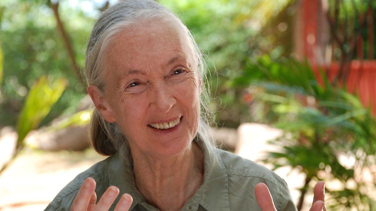 Freundlich, geduldig, überzeugend: Jane Goodall will die Welt verbessern. Und wir sollen alle mitmachen.