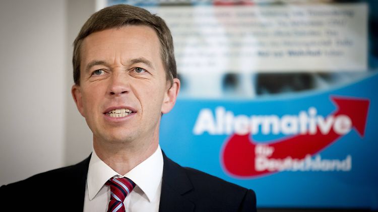 Ist die AfD unter Bernd Lucke nicht eurokritisch genug?