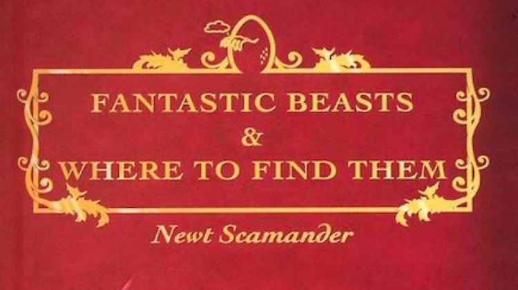 Jetzt ist es offiziell: der "Harry Potter"-Ableger kommt mit Newt Scamander in der Hauptrolle.