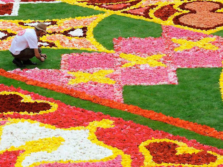 Brüsseler Blumenteppich auf dem Grand Place (Grote Markt) in Brüssel, am 12. August 2010.