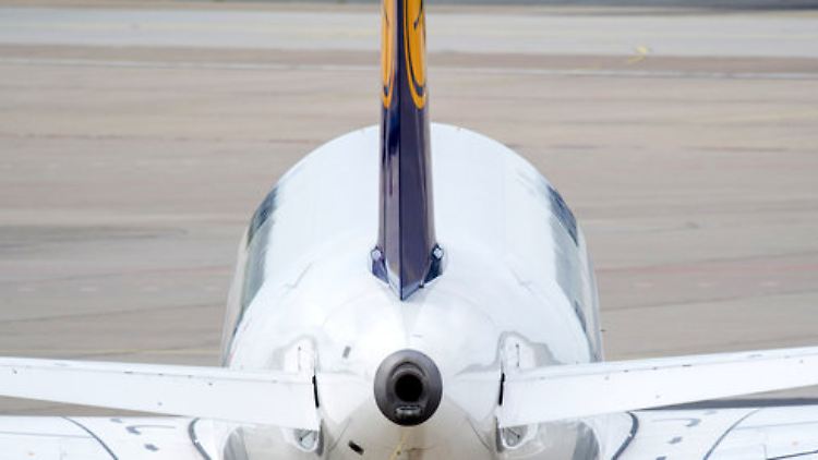 52991390.jpg