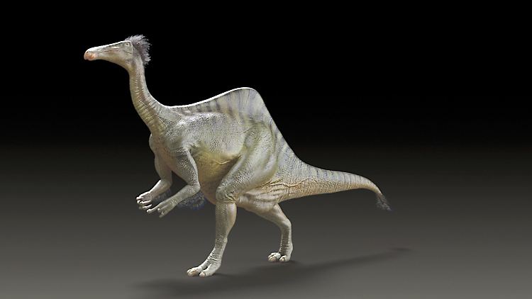 Rekonstruktion eines Deinocheirus mirificus: Einer Forschungsgruppe zufolge war Deinocheirus das größte Mitglied der Ornithomimosauria, der Vögel nachahmende Echsen.