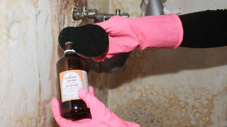 Alkohol ist ein Anti-Schimmelmittel. Bei großflächigem Befall muss aber eine Fachfirma anrücken.