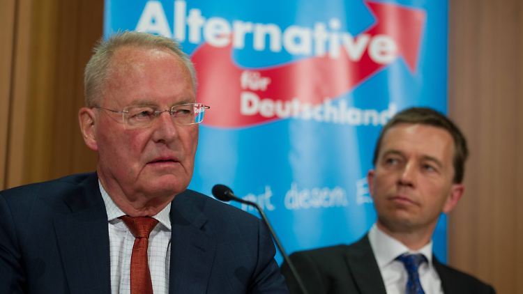 Der Hamburger Hans-Olaf Henkel (l.) ist Vize-Vorsitzender der AfD.
