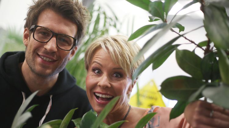 RTL schickt im Januar zum neunten Mal selbsternannte Stars ins australische Dschungelcamp.