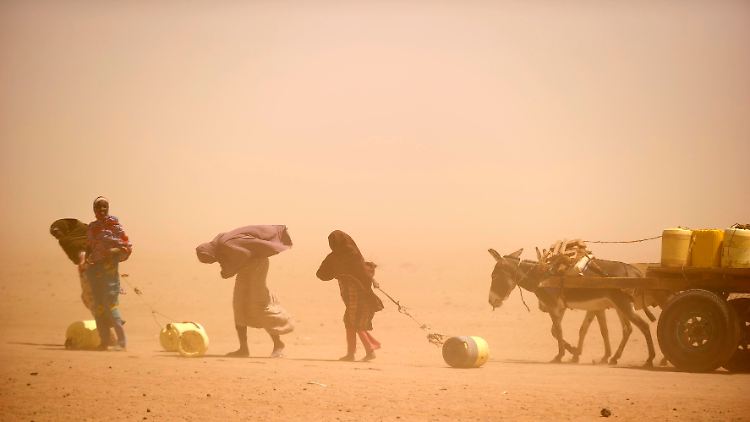 Die Menschen verursachen den Klimawandel - und sie leiden darunter.