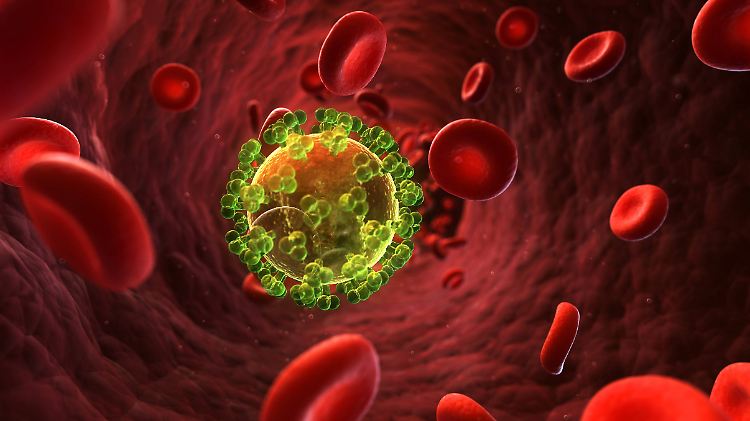 Ein Protein des HI-Virus sorgt normalerweise dafür, dass das Enzym Apobec inaktiv ist.