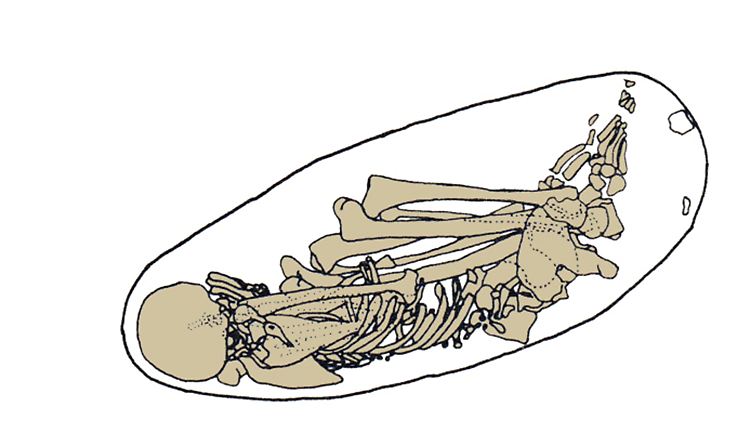 Zeichnung des Skeletts aus Kostenki.